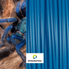 ABS голубой тарантул (Spiderspool)